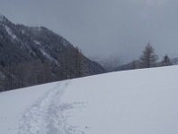thuille (48)