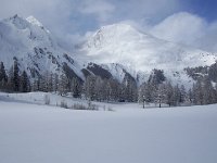 thuille (54)