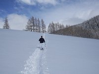 thuille (58)