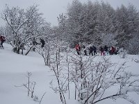 thuille (6)