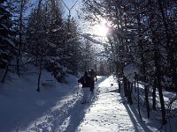 thuille (61)