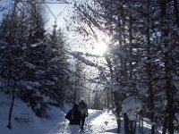 thuille (62)
