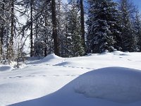 thuille (63)