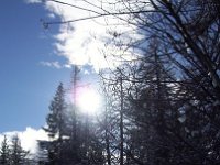 thuille (64)