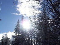 thuille (65)