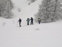 thuille (66)