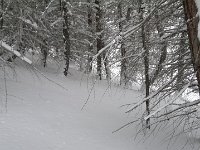 thuille (67)