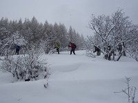 thuille (7)