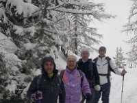 thuille (71)