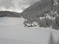 thuille (72)