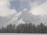 thuille (73)