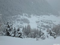 thuille (82)