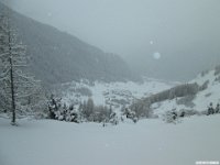 thuille (83)