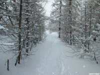 thuille (88)