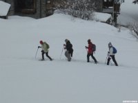 thuille (91)