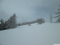thuille (94)