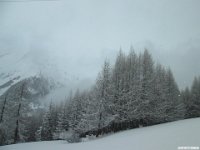 thuille (95)