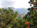 monteviasco (20)