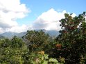 monteviasco (21)