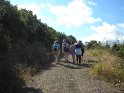 monteviasco (5)