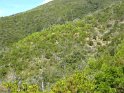 monteviasco (69)