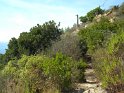 monteviasco (79)