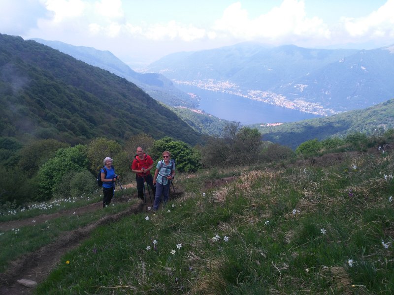 palanzone (10)