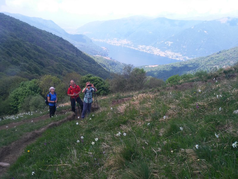 palanzone (12)
