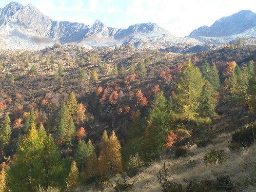 laghi porcile (18)