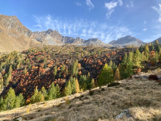 laghi porcile (46)