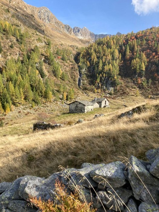 laghi porcile (47)