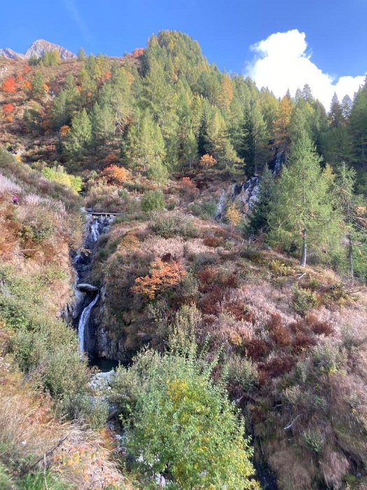 laghi porcile (48)