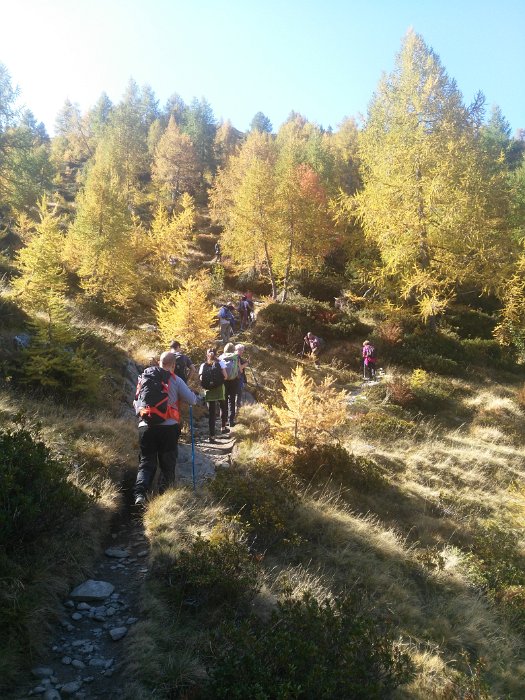 laghi porcile (5)