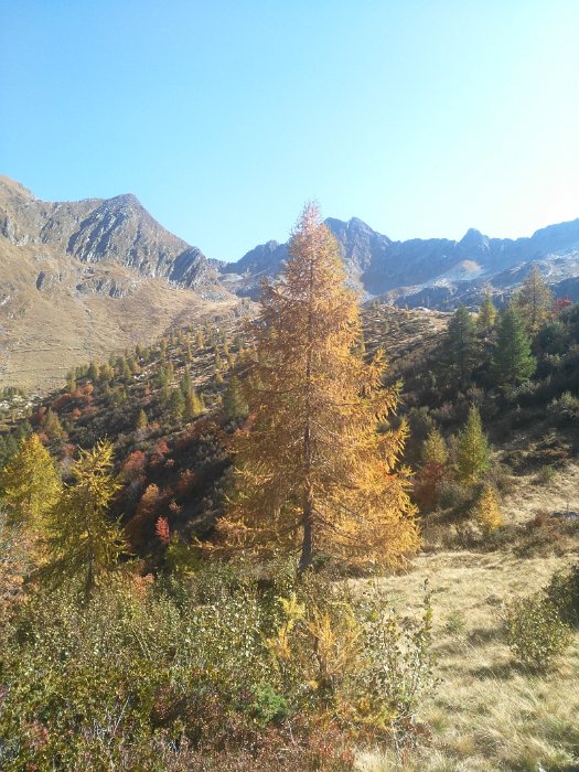 laghi porcile (6)