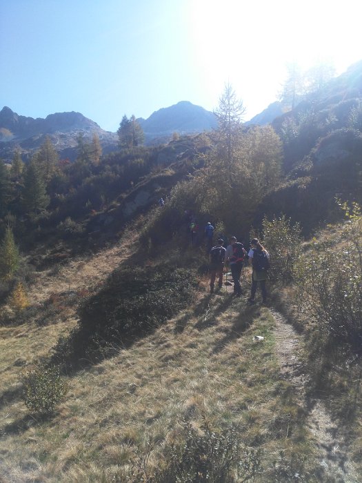 laghi porcile (7)