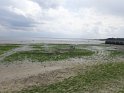 DSC05409
