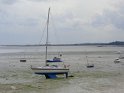 DSC05419