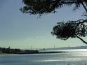 DSC02767