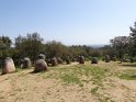 DSC03010