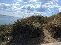 IMG_2179