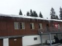 sanbernardino (68)