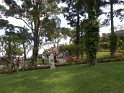 amalfi (78)