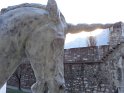 trento (16)