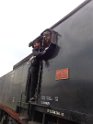 trenino (11)