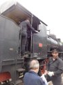 trenino (12)