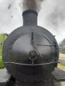 trenino (26)