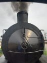 trenino (28)