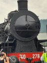 trenino (48)