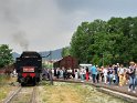 trenino (56)