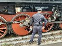 trenino (58)